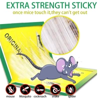 Rat Board - Mrp Rs 100, 10 Pcs
