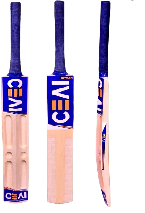 Scoop Design Popular with Tennis Ball and Cover Poplar Willow Cricket Bat (1000-1200 g)