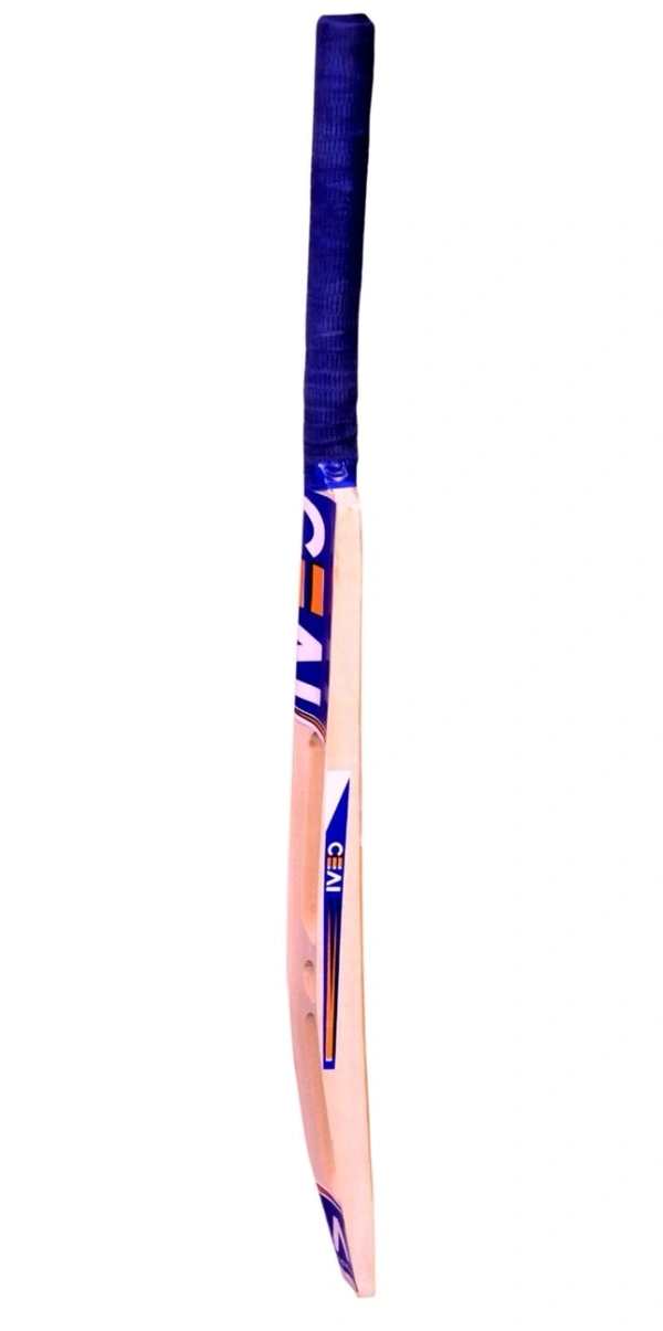 Scoop Design Popular with Tennis Ball and Cover Poplar Willow Cricket Bat (1000-1200 g)