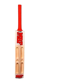 Scoop Design Popular with Tennis Ball and Cover Poplar Willow Cricket Bat (1000-1200 g)