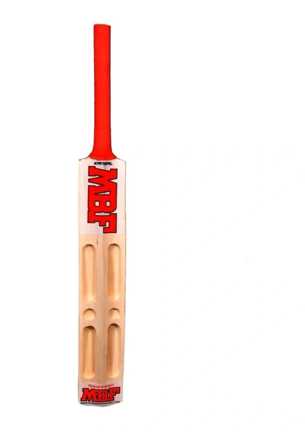 Scoop Design Popular with Tennis Ball and Cover Poplar Willow Cricket Bat (1000-1200 g)