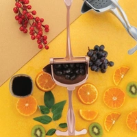 Manual Hand Press Juicer