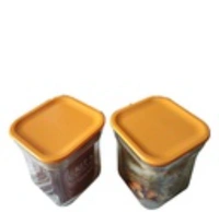 Plastic Kit Kat Container (Pack of 2) - Multicoloured