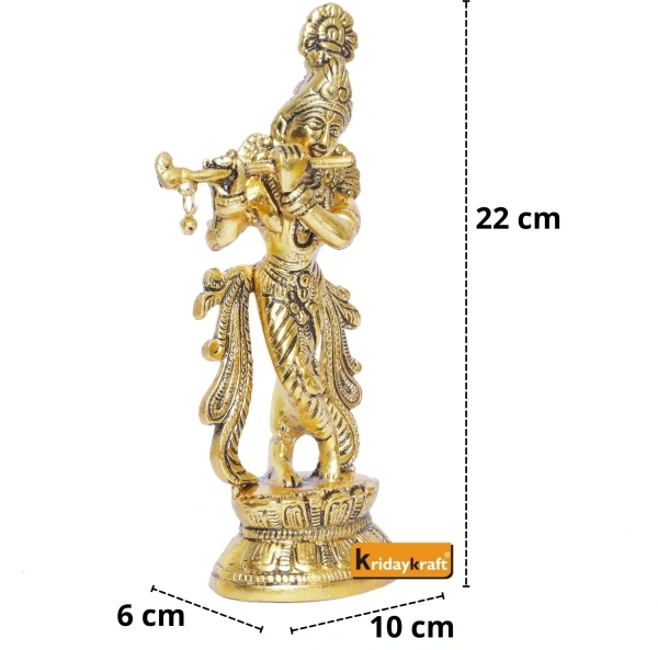 Lord Krishna Muriti