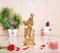 Lord Krishna Muriti
