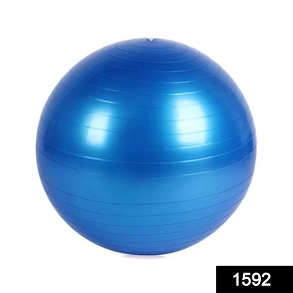 Shubh Luxmi 1592 Anti-Burst Exercise Heavy Duty Gym Ball (Multicolour) (75Cm) (No Box & No Pump)