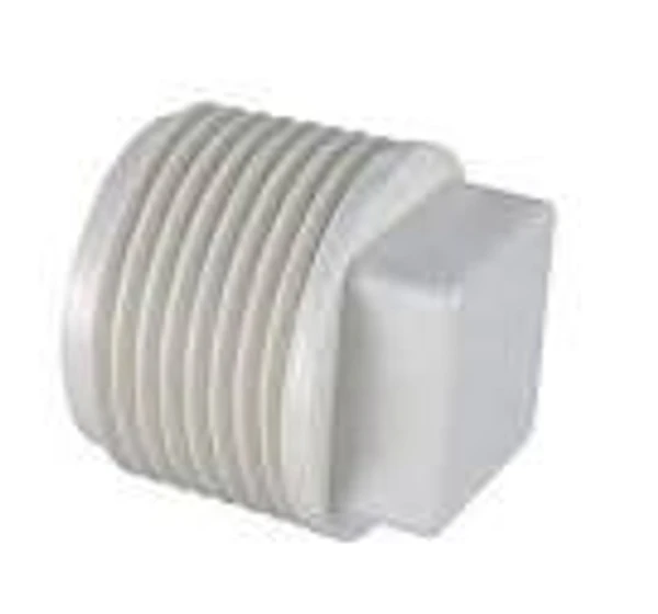 Paras Threaded Plug - 1/2"