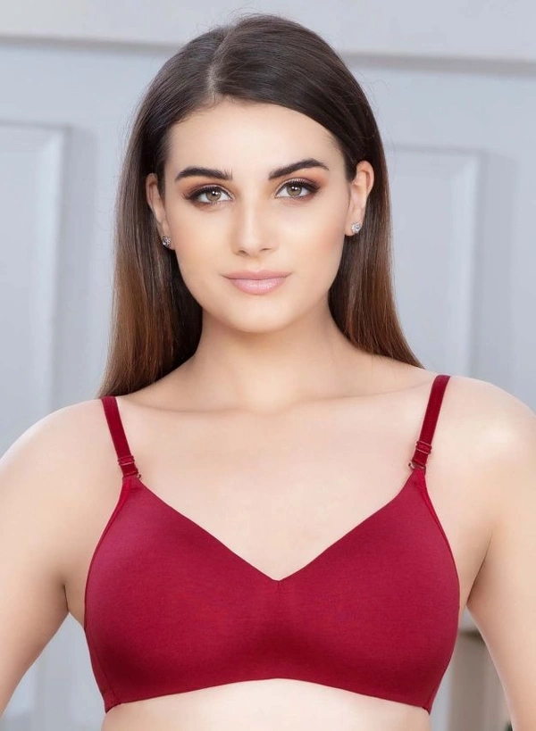 RIZA  Fillup Lightly Padded T-shirt Bra  - RASBERRY, 30 B
