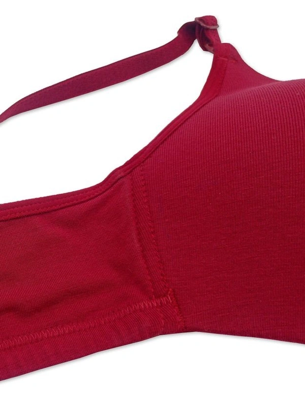 RIZA  Fillup Lightly Padded T-shirt Bra  - RASBERRY, 32 B