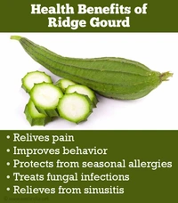 Ridge Gourd - 400g