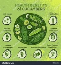 Cucumber - 1kg