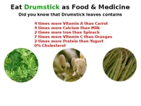 Drumstick  - 250gm