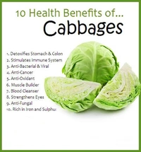 Cabbage  - 500gm