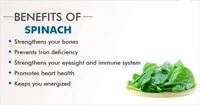 Spinach - 500gm