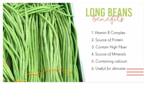 Lesera Bean - 500gm