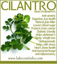 Coriander  - 250gm