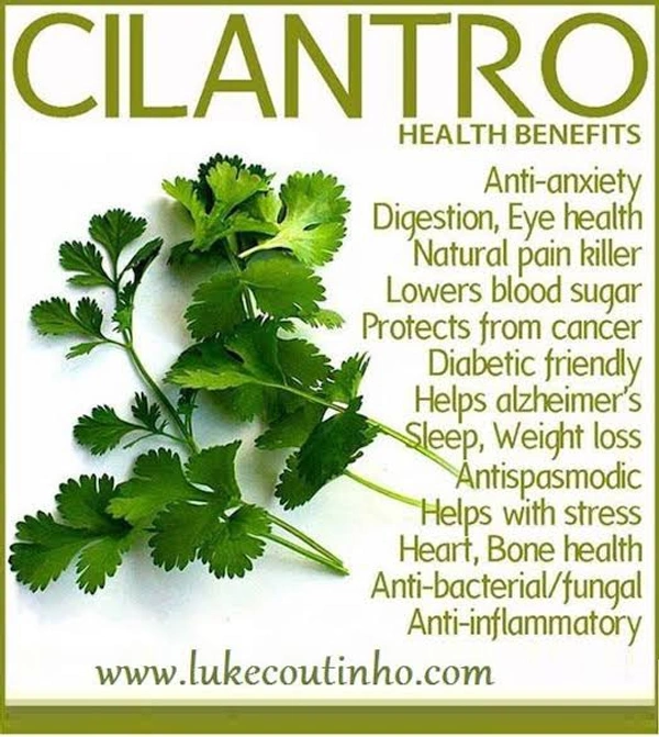 Coriander  - 250gm