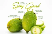 Spiny Gourd - 1kg