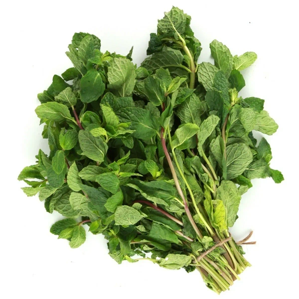 PUDINA (MINT LEAVES) - BUNCH