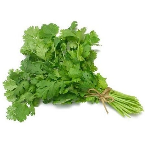 CORIANDER BUNCH (DHANIYA PATTA) APROX - 250GM