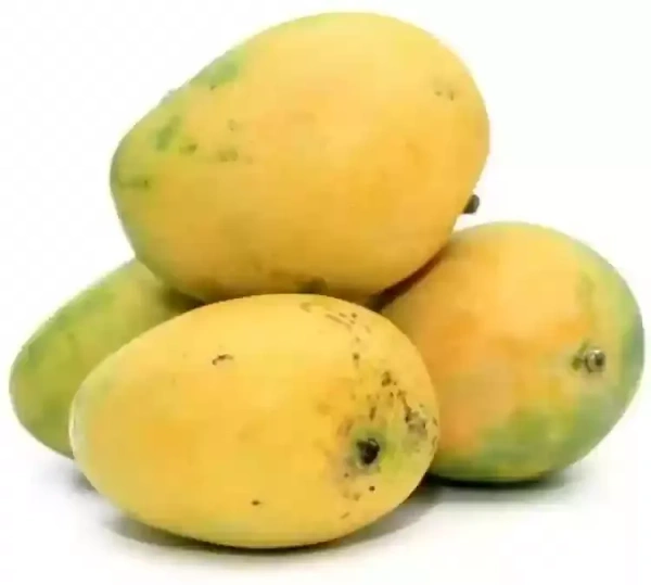 MANGO (SAFEDA) - 1 KG