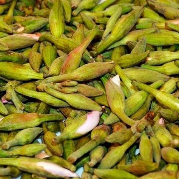 KACHNAR KALI (KACHNAR FALI) - 500 GM