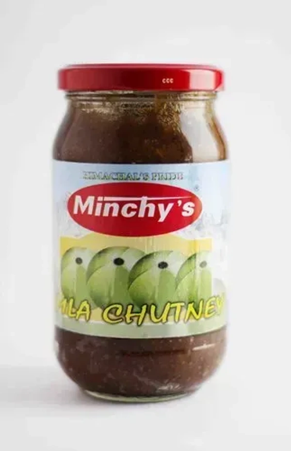 MINCHYS AMLA CHUTNEY - 500GM