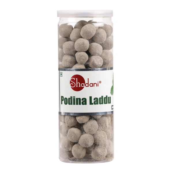 SHADANI PUDINA LADDU (JAR) - 200GM