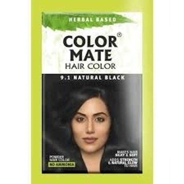 COLORMATE 9.1 HAIR COLOR - 15GM
