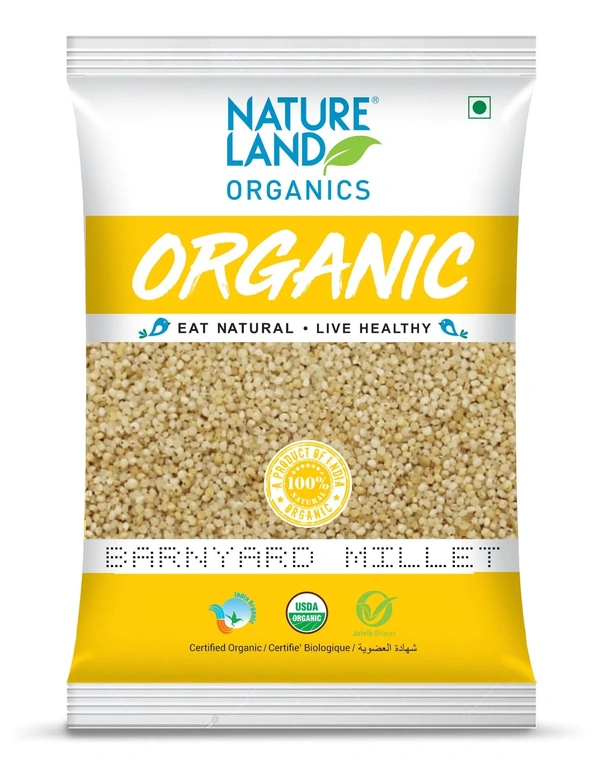 NLO ORGANIC MILLET BARNYARD - 500GM