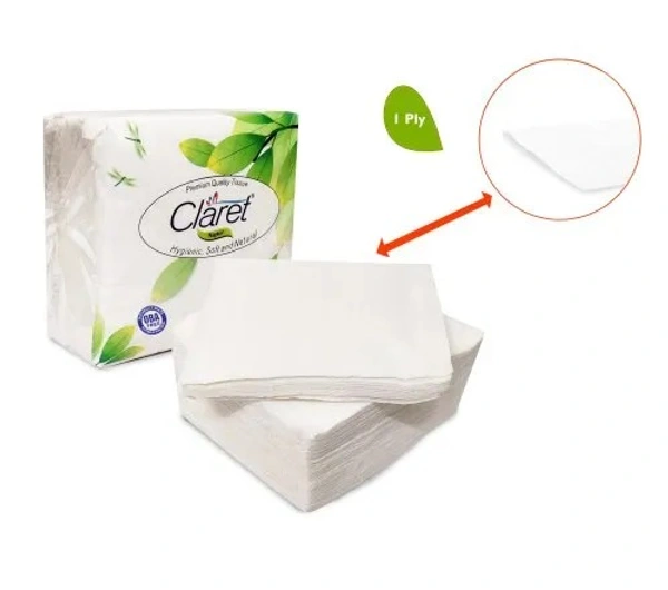 NAPKIN 2 PLY - 1N