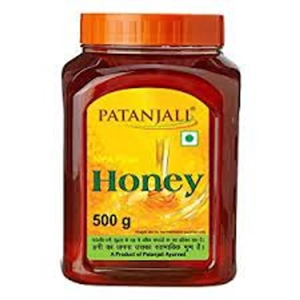 PATANJALI HONEY - 500GM