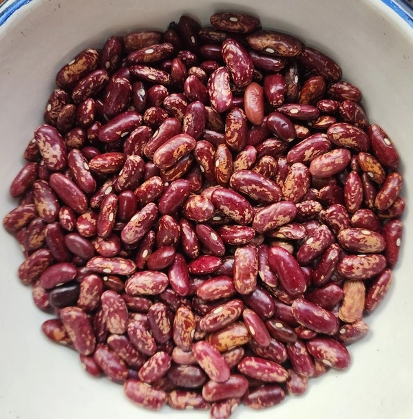 RAJMA PAHADI DISCO - 500GM