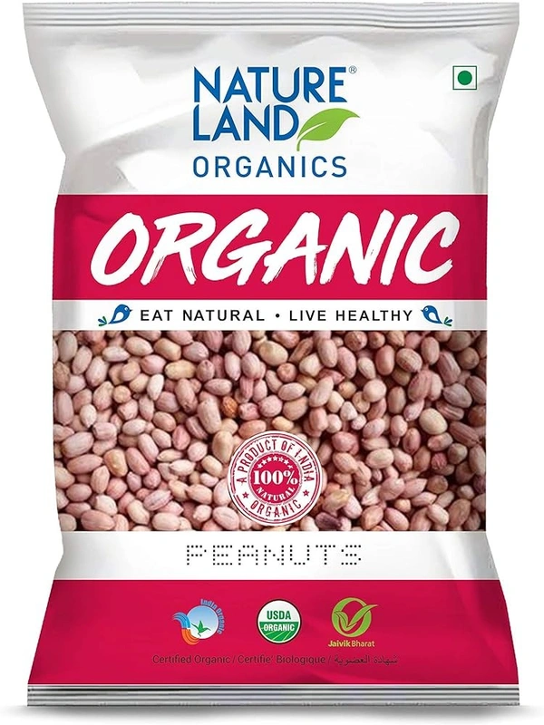 NLO ORGANIC PEANUTS - 500GM