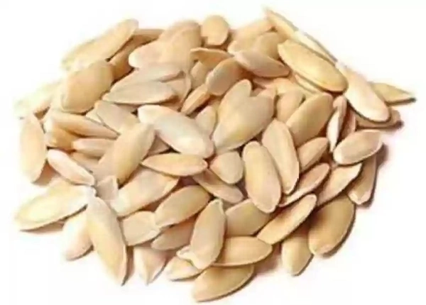 MAGAJ KHARBUJA - 100GM