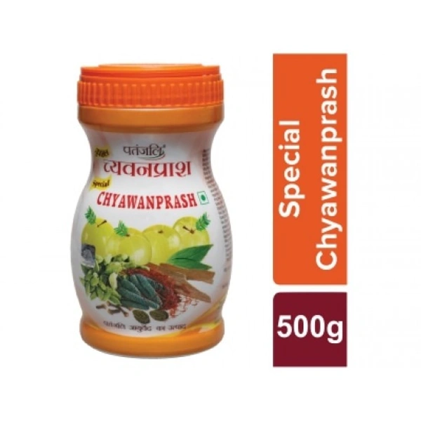 PATANJALI CHYAWANPRASH - 500GM