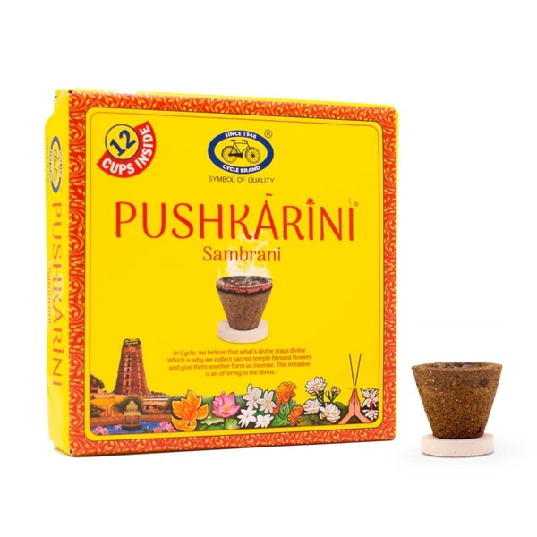CYCLE PUSHKARINI SAMBRANI - 12N