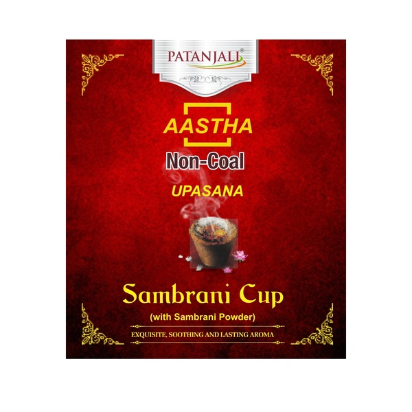PATANJALI AASTHA SAMBRANI CUP - 12N