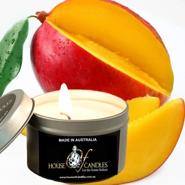 CANDLE FRUIT FRANGRANCE - 1N