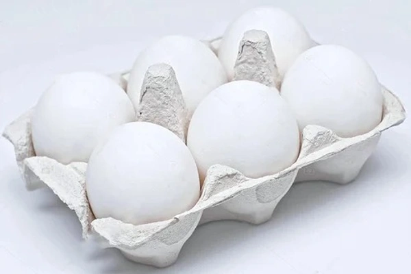 6 EGGS TRAY - TRAY