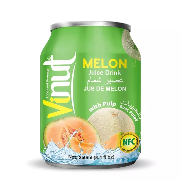 VINUT MELON JUICE WITH PULP - 250ML