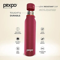 PEXPO VACUUM INST. BOTTLE BOSCO SS STAINLESS STEE - 900 ML