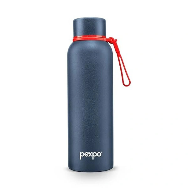 PEXPO VACUUM INST. BOTTLE BRAVO SS STAINLESS STEE - 700 ML