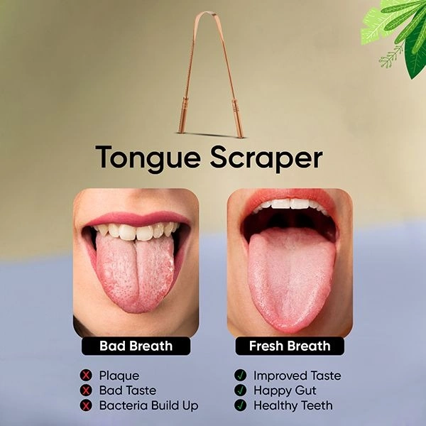 VEGA TCC-02 TONGUE CLEANER COPPER - 1N
