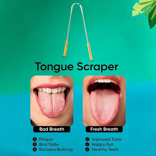 VEGA TCM-01 TONGUE CLEANER METAL - 1N