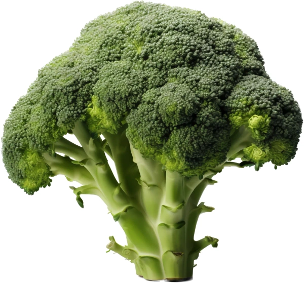 BROCCLI - 1 KG