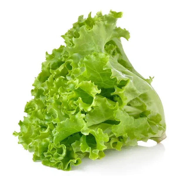 LETTUCE GREEN LEAFY - 150GM