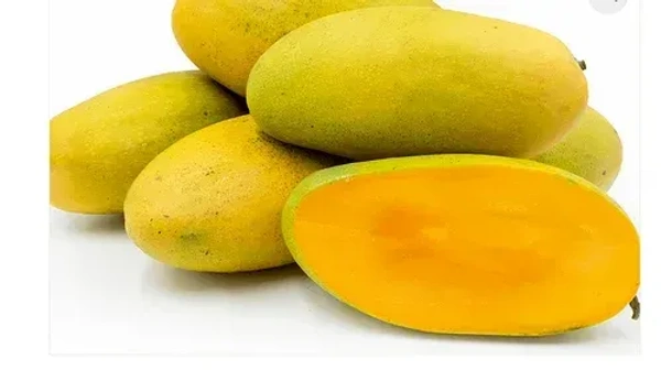MANGO ( DASHERI ) - 500 GM