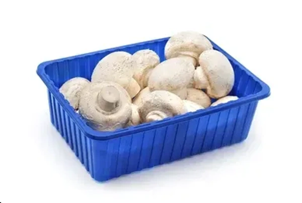 MUSHROOM - 200GM