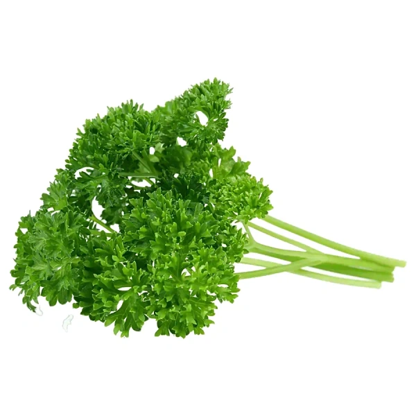 PARSLEY - 100 GM